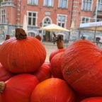 Herbstzeit ist Kürbiszeit: Das gibt’s jetzt Neues auf dem Oldenburger Wochenmarkt 🎃