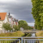Oldenburg stimmt ab: Bürgerentscheid zur Baumschutzsatzung kommt im Februar 2026