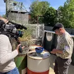 Neue Staffel, neue Abenteuer: „Seelöwe & Co.“ kehrt mit frischen Folgen in den NDR zurück