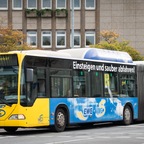 Wie kommt das kostenfreie Busangebot an? Marktforschungsinstitut befragt Oldenburger Fahrgäste 🚌