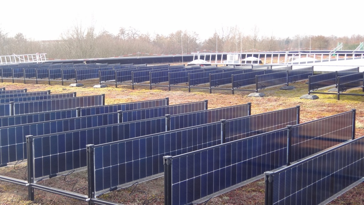 BBS Wechloy setzt Maßstäbe: Solaranlage trifft Gründach 🌱☀️
