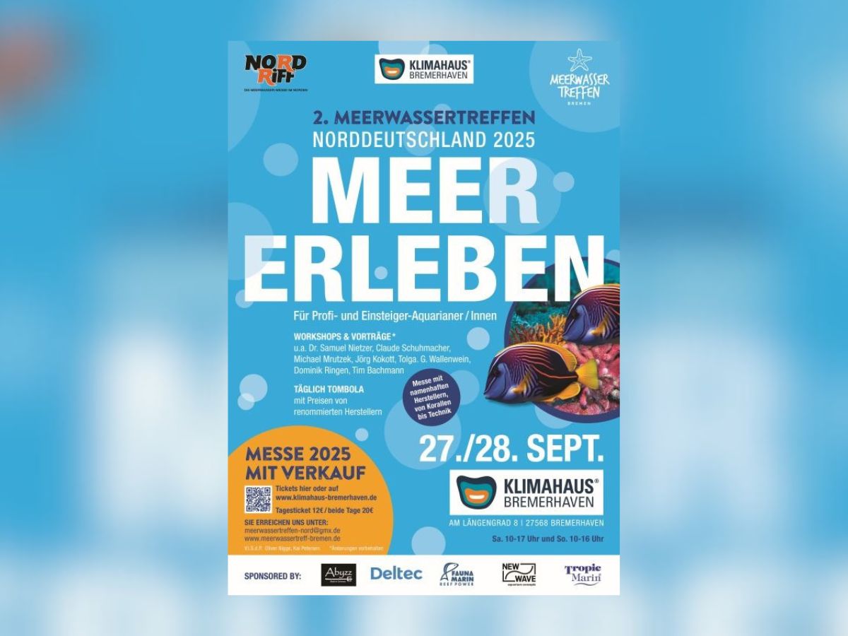 Korallenfieber im Klimahaus: Meerwasser-Fans treffen sich zum großen Austausch in Bremerhaven 🐠🌊