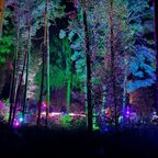 Magische Walpurgisnacht im Magic Park Verden: Teuflisch guter Tanz in den Mai nur für Erwachsene 🔥🌙