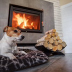 Von der Planung bis zum ersten Flammenspiel: So gelingt der Weg zur eigenen Feuerstätte 🔥