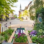 Oldenburg Stadtgärten 2025: Grüner wird’s nicht! 🌿